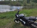 2021 Bajaj Pulsar NS 200, серый, 220000 рублей - вид 1