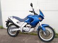 1999 Aprilia Pegaso 650, синий - вид 1