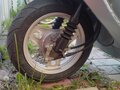 2006 Suzuki Address V50, голубой, 69000 рублей - вид 5