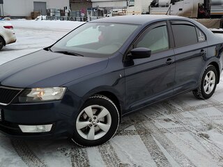2014 Skoda Rapid I, синий, 699999 рублей, вид 1