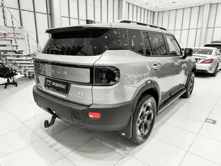 2025 Jetour T1, серый, 3300000 рублей, вид 5
