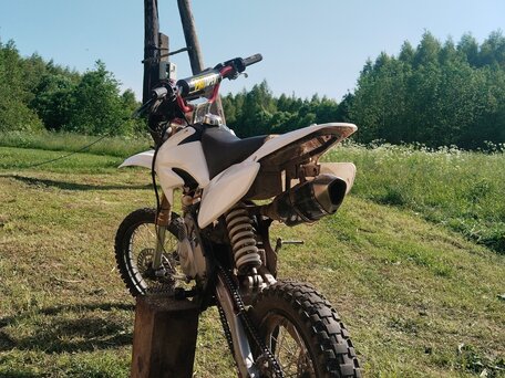 2019 Motoland MX 140, белый, 79999 рублей, вид 5