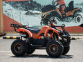 2026 Tiger Opti 150, оранжевый, 223900 рублей - вид 1