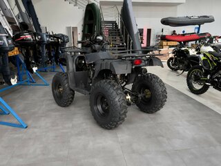 2026 Другие Мотовездеходы (другие), чёрный, 147700 рублей, вид 3