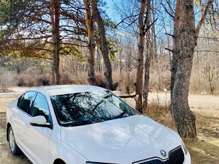 2013 Skoda Octavia III (A7), белый, 1250000 рублей, вид 1