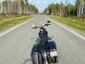 2008 Harley-Davidson Road King, чёрный, 849000 рублей - вид 6