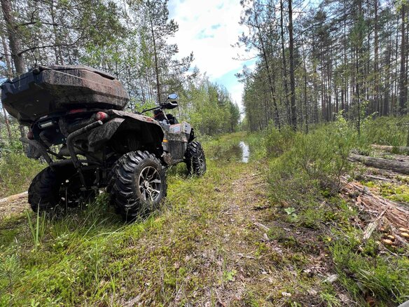2025 Stels ATV-800 Guepard Touring, коричневый, 1100000 рублей