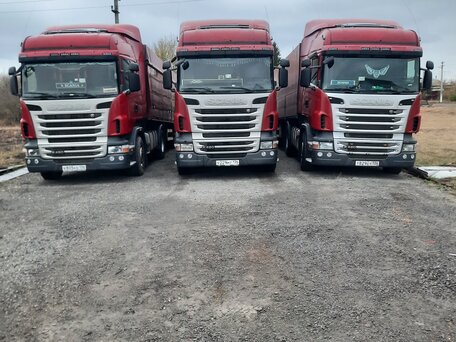 2011 Scania R-Series, красный, 3700000 рублей, вид 4