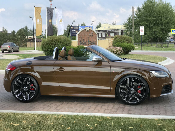 2009 Audi TTS II (8J), коричневый - вид 14