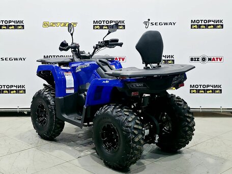 2025 Bison 250U, синий, 309900 рублей, вид 3