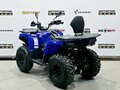 2025 Bison 250U, синий - вид 2