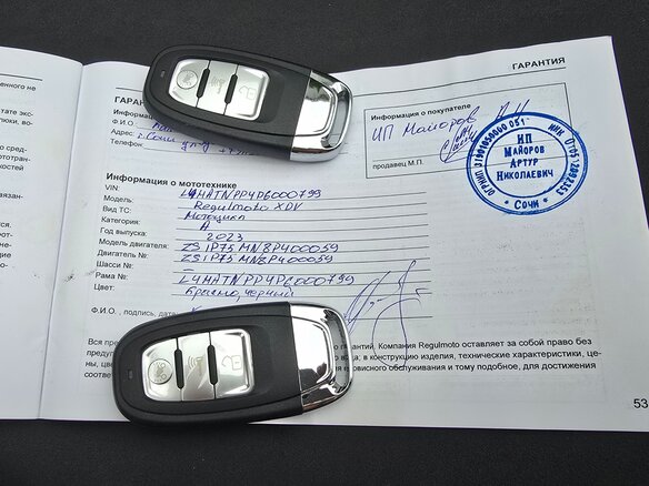 2023 Regulmoto XDV 300, красный, 285000 рублей - вид 8