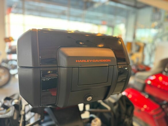 2021 Harley-Davidson Pan America, чёрный, 1510000 рублей - вид 9