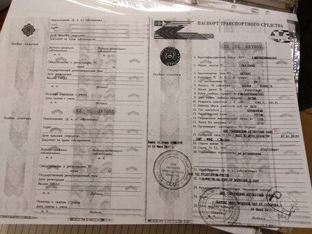 2010 ПАЗ 32053-20, белый, 350000 рублей, вид 3