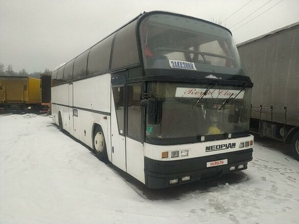 1993 Neoplan Spaceliner, белый, 764144 рублей - вид 9