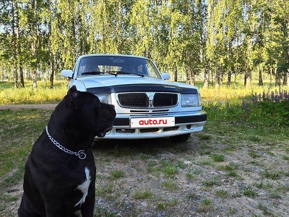2002 ГАЗ 3110 «Волга», белый, 300000 рублей - вид 5