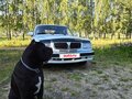 2002 ГАЗ 3110 «Волга», белый, 300000 рублей - вид 5