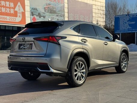 2021 Lexus NX 200 I Рестайлинг, серый, 3550000 рублей, вид 4