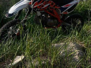2024 Kayo TT160, белый, 82000 рублей, вид 1