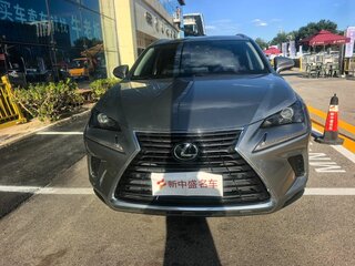 2020 Lexus NX 200 I Рестайлинг, серебристый, 3329666 рублей, вид 2