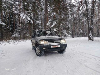 2003 Chevrolet Niva I, серебристый, 320000 рублей, вид 2