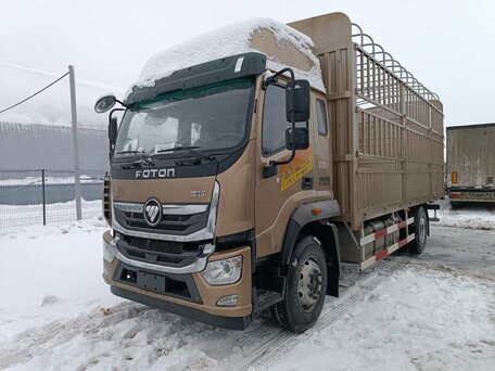 2023 Foton Ollin BJ11xx, коричневый, 5908525 рублей, вид 1