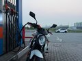 2009 Suzuki SFV 650 Gladius, красный, 350000 рублей - вид 8