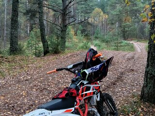 2024 Kayo Basic TT125, оранжевый, 65000 рублей, вид 2