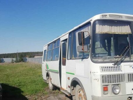 2014 ПАЗ 32053-20, белый, 550000 рублей, вид 2