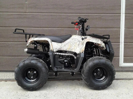 2025 Motoland ATV 110 Rider, бежевый, 86700 рублей, вид 4