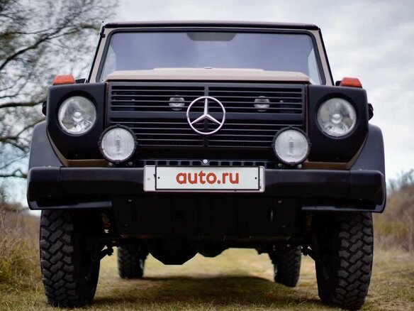 1989 Mercedes-Benz G-Класс 230 5-speed I (W460; W461), бежевый - вид 8