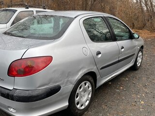 2007 Peugeot 206, серебристый, 250000 рублей, вид 4