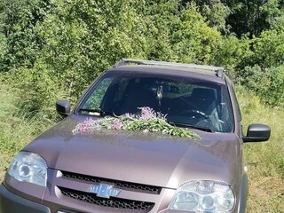 2018 Chevrolet Niva I Рестайлинг, коричневый, 840000 рублей, вид 1