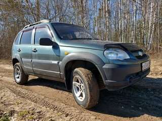 2009 Chevrolet Niva I Рестайлинг, серый, 329000 рублей, вид 2