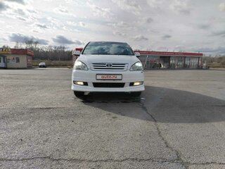 2002 Toyota Ipsum II (M20), белый, 915000 рублей, вид 1