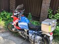 1993 Honda XRV 750 Africa Twin, белый, 500000 рублей - вид 10