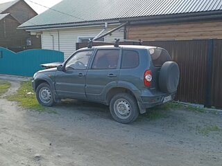 2010 Chevrolet Niva I Рестайлинг, зелёный, 550000 рублей, вид 2