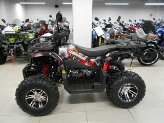 2025 Yacota Warrior, чёрный, 217600 рублей, вид 4