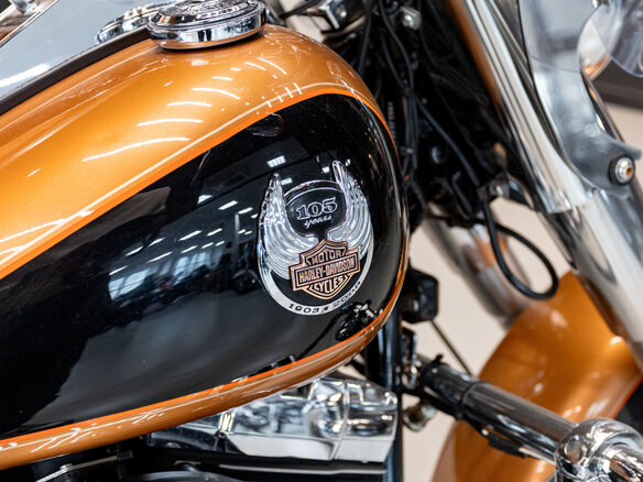 2008 Harley-Davidson Fat Boy, золотистый, 1300000 рублей - вид 6