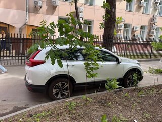 2019 Honda CR-V V, белый, 2250000 рублей, вид 1