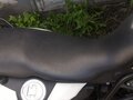2010 BMW F 800 GS, белый, 590000 рублей - вид 9