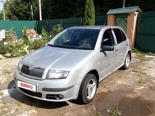 2006 Skoda Fabia I Рестайлинг, серый, 245000 рублей, вид 1