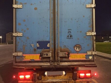 1998 Schmitz Cargobull S01, голубой, 1320000 рублей, вид 2
