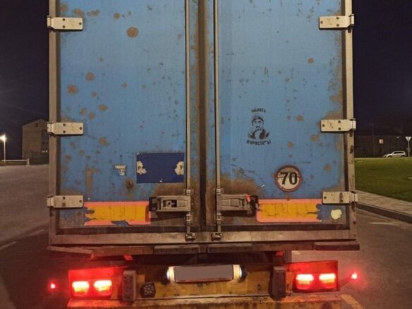 1998 Schmitz Cargobull S01, голубой, 1320000 рублей - вид 1