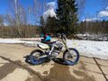 2021 Ataki DR 250, белый, 150000 рублей