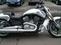 2009 Harley-Davidson V-Rod Muscle, серый