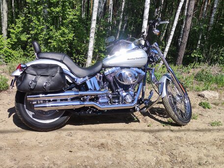 2005 Harley-Davidson Softail Custom, серебристый, 795000 рублей, вид 5