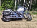 2005 Harley-Davidson Softail Custom, серебристый, 795000 рублей - вид 4