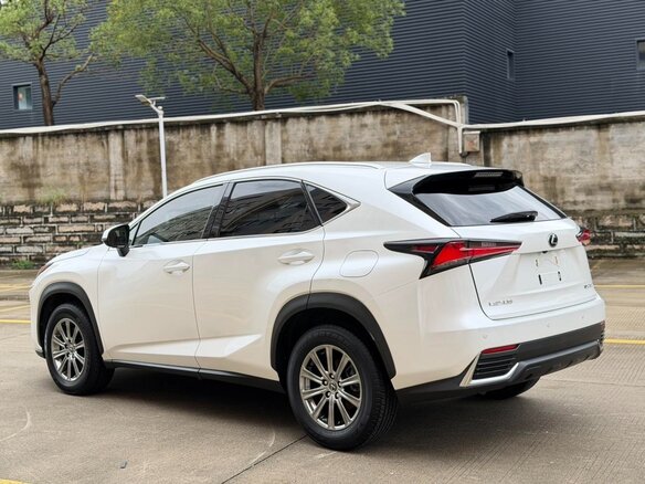 2021 Lexus NX 200 I Рестайлинг, белый, 2669000 рублей - вид 5