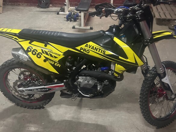 2022 Avantis Enduro 300 Pro/EFI, жёлтый, 230000 рублей - вид 3